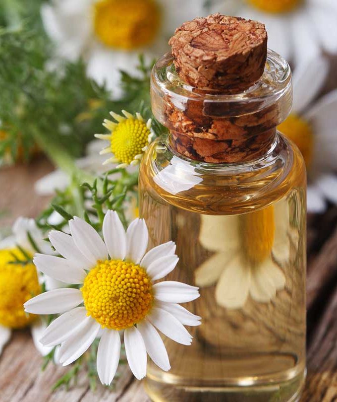 Chamomile Hydrosol