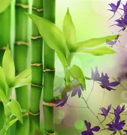 australian bamboo grass fragrance oil
